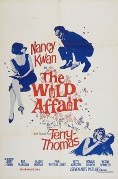 the wild affair poster
